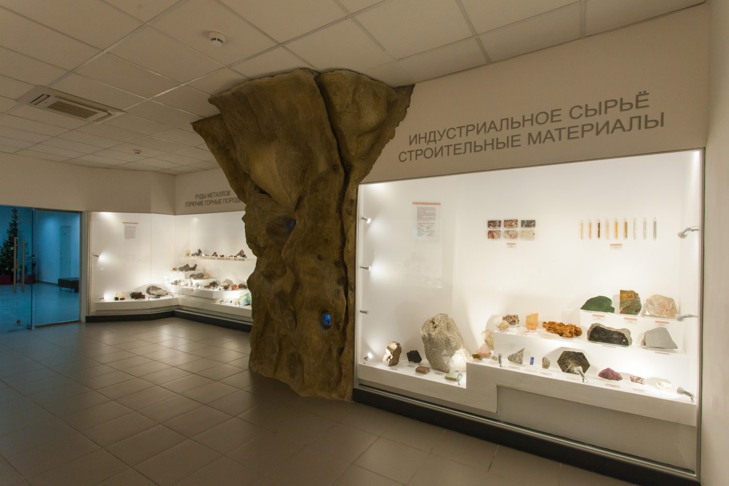 Краеведческий музей природы Новосибирск