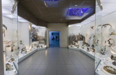 Краеведческий музей (отдел природы)