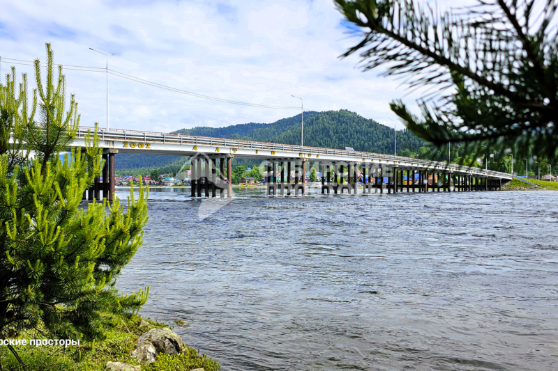 Мост на реке Бия